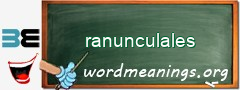 WordMeaning blackboard for ranunculales